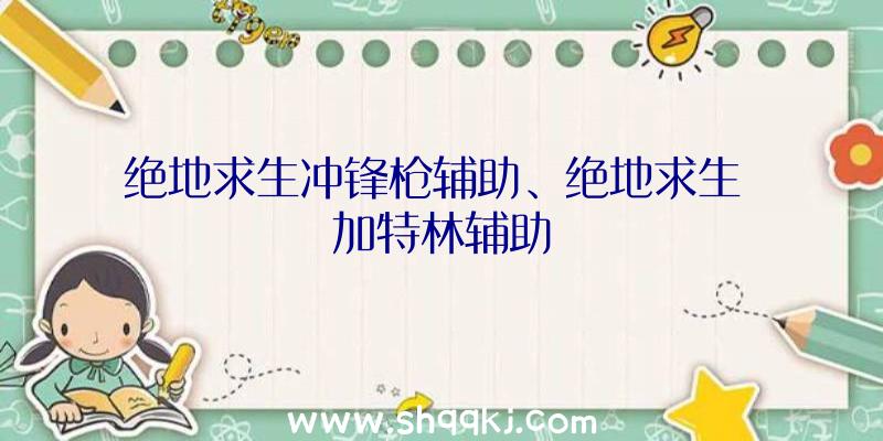 绝地求生冲锋枪辅助、绝地求生